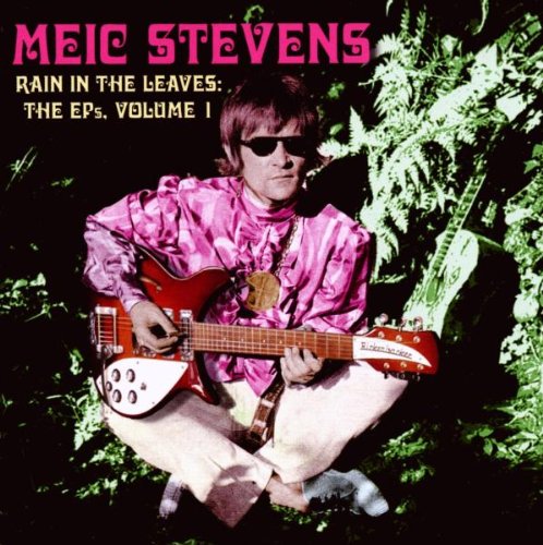 MEIC,STEVENS--