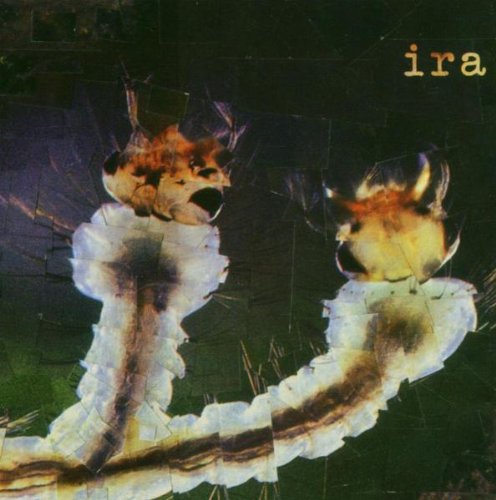 IRA--
