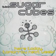 SUGAR CUBES