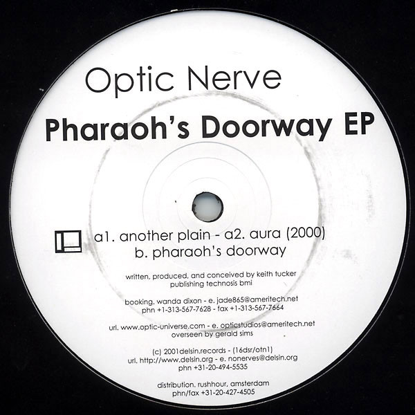 OPTIC NERVE