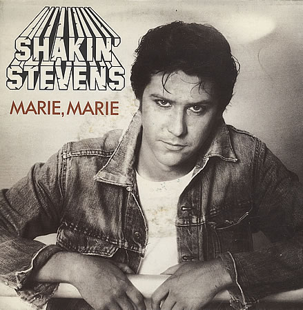 SHAKIN STEVENS