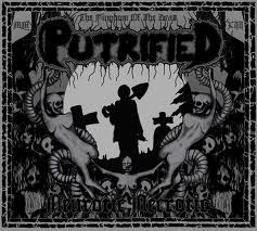 PUTRIFIED