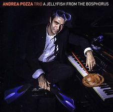 POZZA,ANDREA TRIO