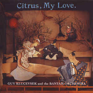 KLUCEVSEK,GUY