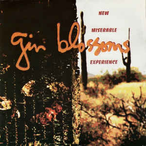 GIN BLOSSOMS