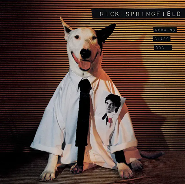 SPRINGFIELD,RICK