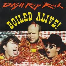 DASH RIP ROCK