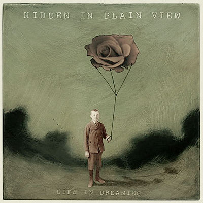 HIDDEN IN PLAIN VIEW