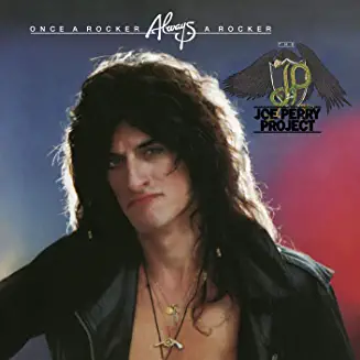 JOE PERRY PROJECT