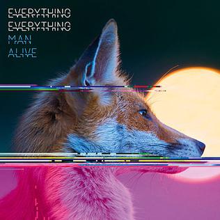 EVERYTHING EVERYTHING